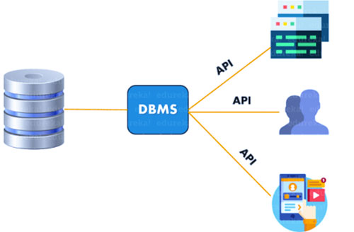 DBMS