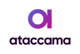 Ataccama vs. Precisely