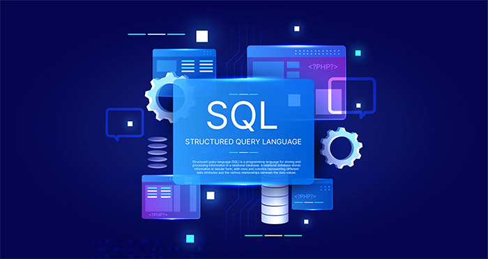 زبان پرس و جوی داده (DQL)